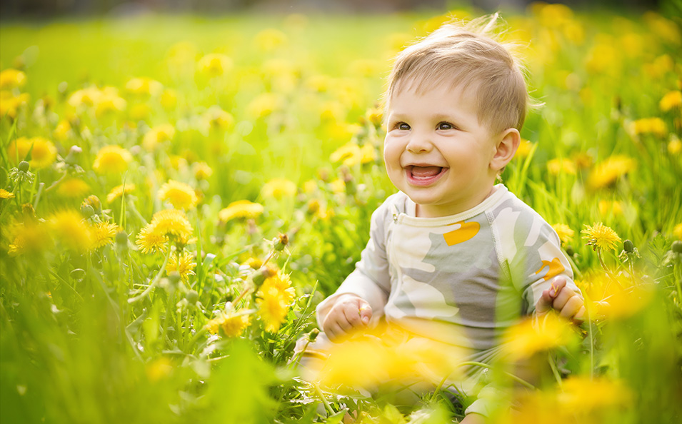 Insektenstiche bei Babys vorbeugen und behandeln.